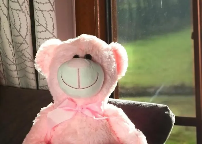 A 151 Malinowy- Kaszubska Ostoja بيت للعطل *